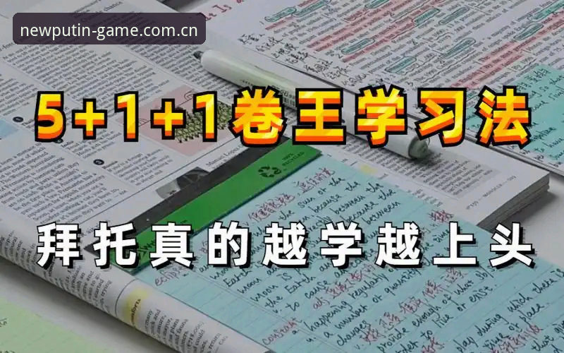 新普京官网入口 新普京平台使用指南:从官网入口到高效娱乐的完整教程